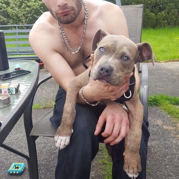 Meet your Posher, Nick - Picture 1 of 1